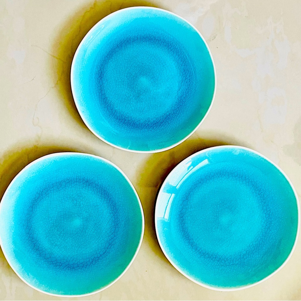 Nicole Miller Home crackle glaze dinner plates 3